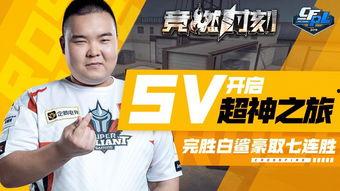 白鲨最新爆料新闻视频,揭秘神秘新闻背后的真相